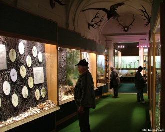 Bakonyi Természettudományi Múzeum – 2. kép